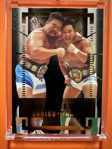 BBMプロレスカード　2005 スペシャルカード　チャンピオン　C5 佐々木健介&中島勝彦