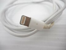 アップル純正ライトニングケーブル　1m　USB-C■アップル　Apple■ライトニング　Lightning■_画像3