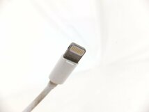 アップル純正ライトニングケーブル　1m　USB-C■アップル　Apple■ライトニング　Lightning■■_画像4