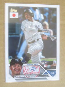 2023 TOPPS MLB JAPAN EDITION ANTHONY VOPLE RC NEW YORK YANKEES