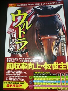 ウルトラ回収率　２０２４－２０２５ （競馬王馬券攻略本シリーズ） 伊吹雅也／監修　競馬王データ特捜班／編