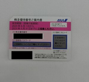 全日空ANA株主優待券　1枚　2025年5月31日まで