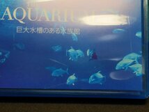 セル版 Blu-ray THE AQUARIUM 巨大水槽のある水族館 / fc134_画像2