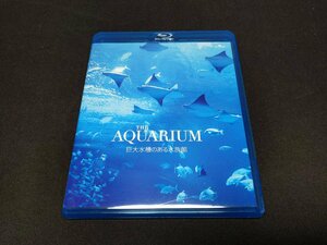 セル版 Blu-ray THE AQUARIUM 巨大水槽のある水族館 / fc134