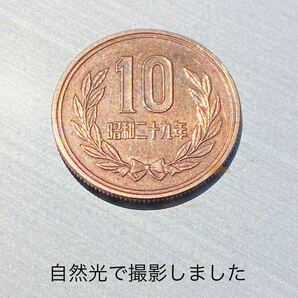 美品 昭和29年 ギザあり10円硬貨の画像6