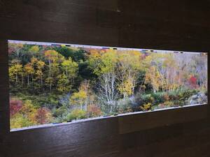 [ background material HGW0.5mm thickness ] autumn Ⅳ 5 sheets image quality importance!!