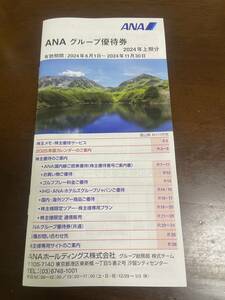 ANA グループ優待券