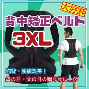 3XLサイズ　背中　矯正　ベルト　猫背　サポータ　リモート　介護　保育士　腰痛　22