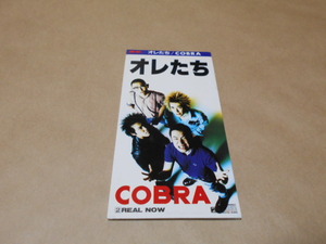 CDS　COBRA／オレたち