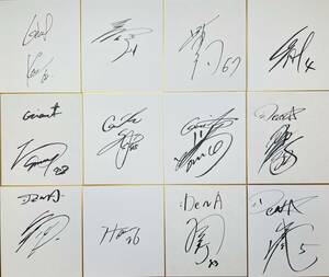  Japan Professional Baseball NPB player autograph autograph square fancy cardboard 12 pieces set stone rice field . futoshi player Matsuo .. player river ... Coach width river . player other 