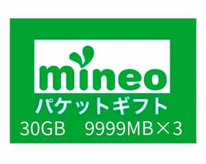 パケットギフト約30GB　9999MB×3