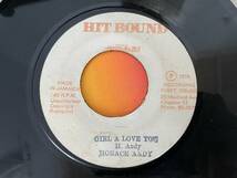HORACE ANDY / GIRL A LOVE YOU LOVERS REGGAE 45 BIG HIT FOUNDATION 試聴_画像1