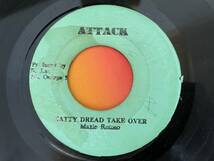 MAX ROMEO / NATTY DREAD TAKE OVER REGGAE 45 MOVE OUT BABYLON どうオケ　試聴_画像1