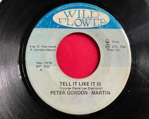 PETER GORDON MARTIN / TELL IT LIKE IT IS LOVERS REGGAE 45 HIT SOUL カバー　試聴