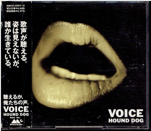 CD★ハウンドドッグ★VOICE　【2枚組　フォトブック付き】　