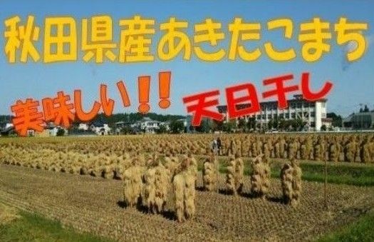 農家直送☆令和５年産☆自然乾燥米 秋田県産あきたこまち玄米２０kg