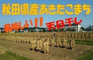 農家直送☆令和５年産☆自然乾燥米 秋田県産あきたこまち玄米２９kg