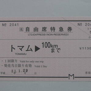 700.JR北海道 自由席特急券 トマム 100キロまで 平成 ミミ付 臨発の画像1