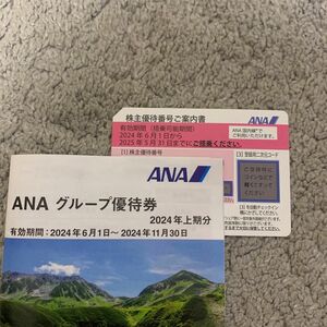 ANA 全日空　株主優待