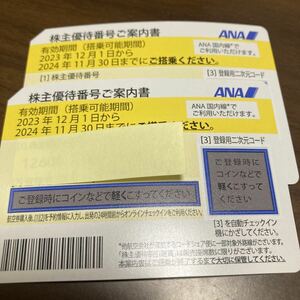 全日空ANA株主優待券　2枚セット　有効期間11月30日