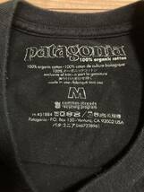 patagonia パタゴニア p6 デカタグ 旧タグ　白タグ　半袖Tシャツ ヴィンテージtシャツ ポケット付きtシャツ Ｍサイズ　美品_画像7