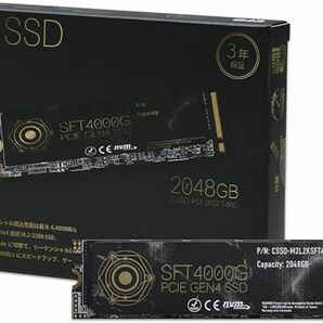 CFD SSD M.2 (読み取り最大4400MB/S) 2TB 