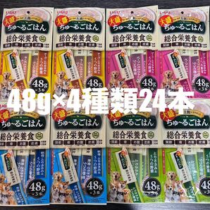 いなば　総合栄養食　ちゅーるごはん　大盛　ビッグサイズ　48g×4種類24本