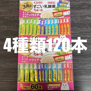 猫　国産品　いなば　CIAO すごい乳酸菌ちゅーる　4種類　120本