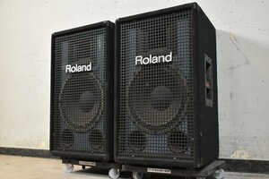 Roland Roland SST-151 PA динамик 