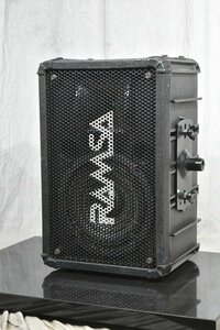 RAMSA WS-A80