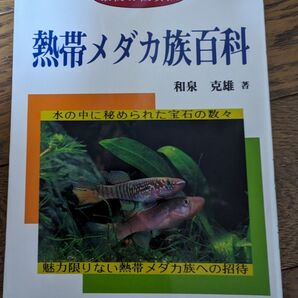 和泉 克雄 熱帯メダカ族百科