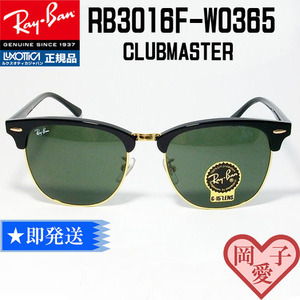 *55 size RB3016F-W0365*Ray-Ban RayBan RB3016F-W0365 sunglasses CLUBMASTER Clubmaster 55 size blow salmon to