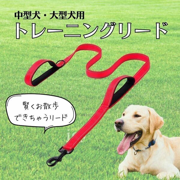 犬 リード トレーニング 訓練 夜 大型犬 中型犬 150cm 赤