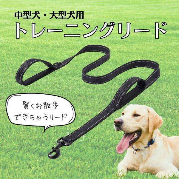 犬 リード トレーニング 訓練 夜 大型犬 中型犬 150cm 黒