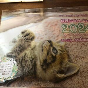  календарь кошка * настенный * регион ..* защита ..2024
