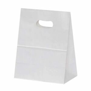 パックタケヤマ 手抜き角底袋 イーグリップM 50枚 テイクアウト 紙袋 ギフトバッグ シモジマ購入 在庫整理