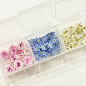 勿忘草　忘れな草　かすみ草　ピンク　アリッサム　花材　ドライフラワー