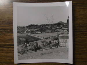 古写真　歴史資料　1949年9月長崎県長崎市被爆地のカトリック教会からの眺め　写真裏撮影年月日と英文　訳すると　