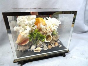 希少【 珊瑚礁 】サンゴ　置物 ◇ 化石 標本 飾り インテリア オブジェ 天然 レトロ アンティーク