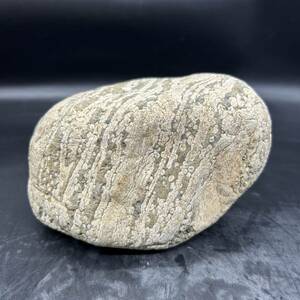 紋石　流紋岩　縞模様　天然石 鑑賞石 原石 自然石 水石 盆栽石 飾り石 1.5kg インテリア　置物　C2