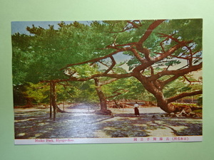 古絵葉書 日本名所◆0435 兵庫舞子公園 画像参照。