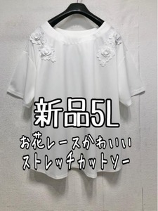 新品☆5L白系♪お花モチーフ立体型レースきれいストレッチカットソー☆b649