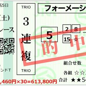 ★1日で50万円～150万円の払い戻しを狙えるSランク3連複競馬予想★2週間の配信保証付き＋1万円～3万円の割引の2大キャンペーン中12★の画像10