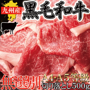  once is meal . want!! rarity .. brand cow * Kyushu production black wool peace cow A4*A5 etc. class [ less selection another ] cut . dropping 500g [A freezing ]