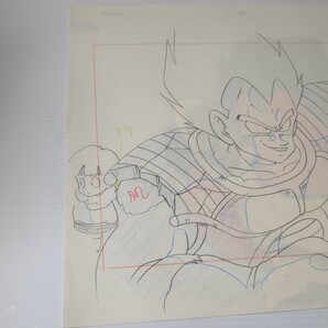 ドラゴンボール セル画 ベジータ 孫悟飯 鳥山明 DRAGON BALL の画像5