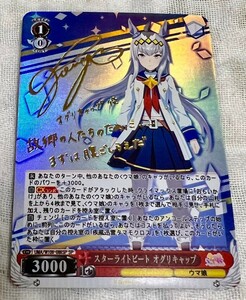 1円スタート　ACG ウマ娘　箔押し　ビワハヤヒデ　カード　サイン入り