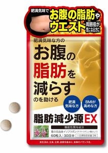 【新品未使用】脂肪減少源 EX お腹の脂肪 葛の花由来イソフラボン 機能性表示食品　サプリメント　ダイエット