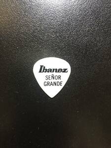 アイバニーズ ポールギルバート IBANEZ　1枚