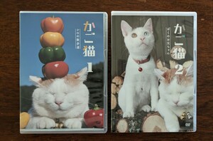 DVD2 шт. комплект корзина кошка 1 белый. прогулка дорога корзина кошка 2... старший брат Chan. . кошка .. кошка . кошка кошка домашнее животное животное животное чай тигр ....