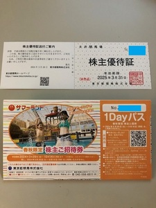 東京都競馬株主優待一式 東京サマーランド 1Dayパス 8枚セット 2024/10/14